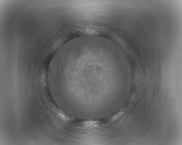 X0000054360465200508051533