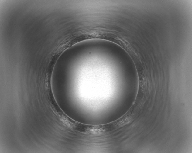 X0000054360466200508051533