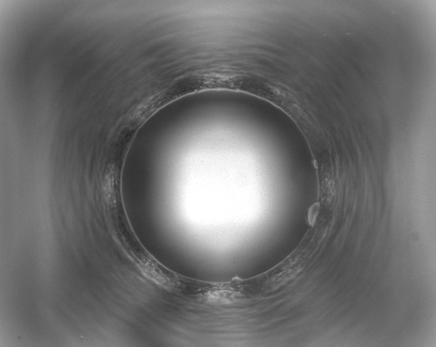 X0000054360468200508051534