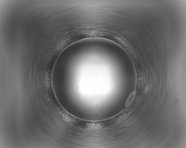 X0000054360469200508051534