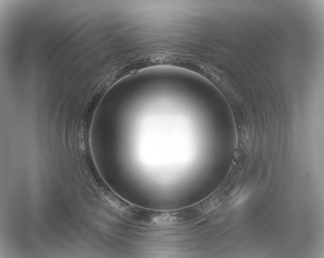 X0000054360470200508051534