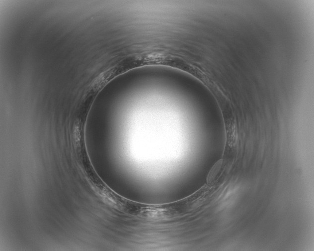 X0000054360472200508051534