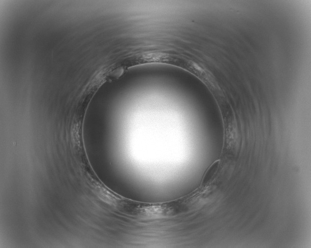 X0000054360473200508051534