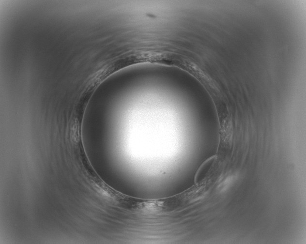 X0000054360474200508051534