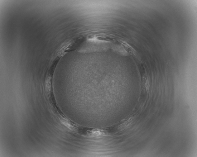 X0000054360475200508051534