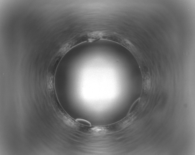 X0000054360477200508051534