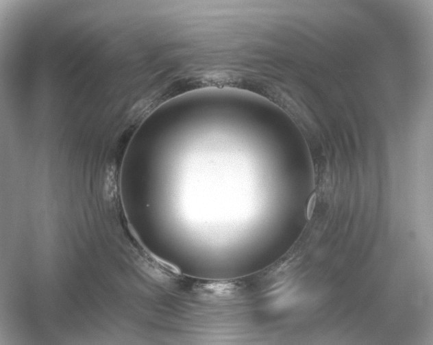 X0000054360478200508051534