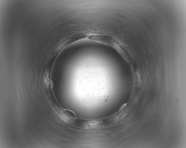 X0000054360479200508051534