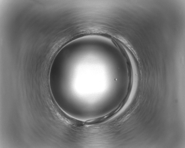 X0000054360481200508051533