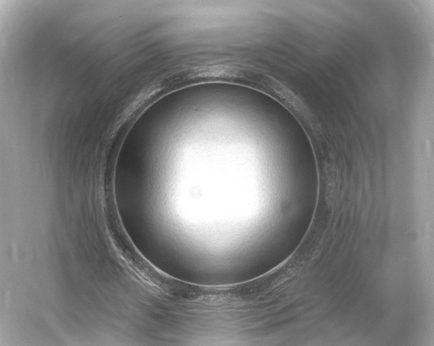 X0000054360482200508051533