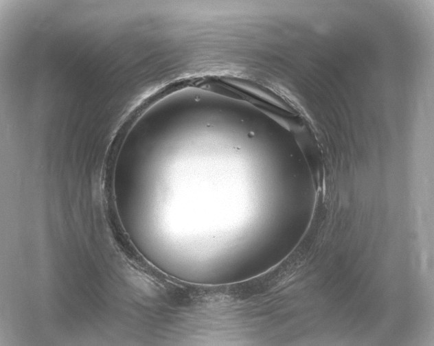 X0000054360483200508051533