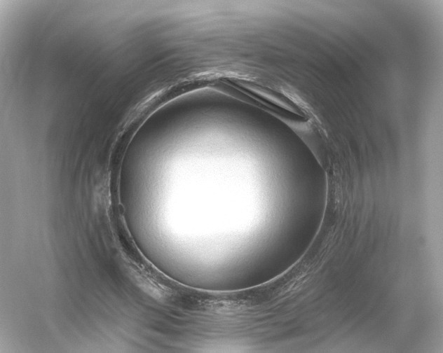 X0000054360486200508051533