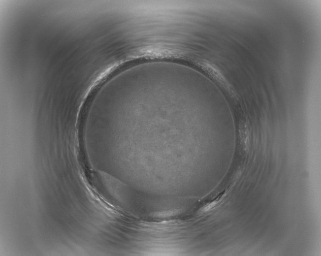 X0000054360488200508051533