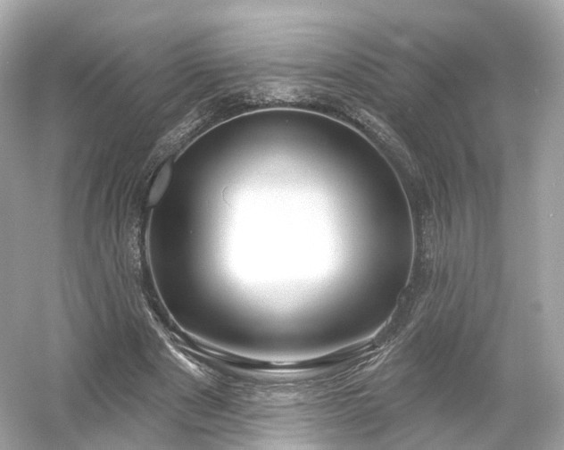 X0000054360489200508051533