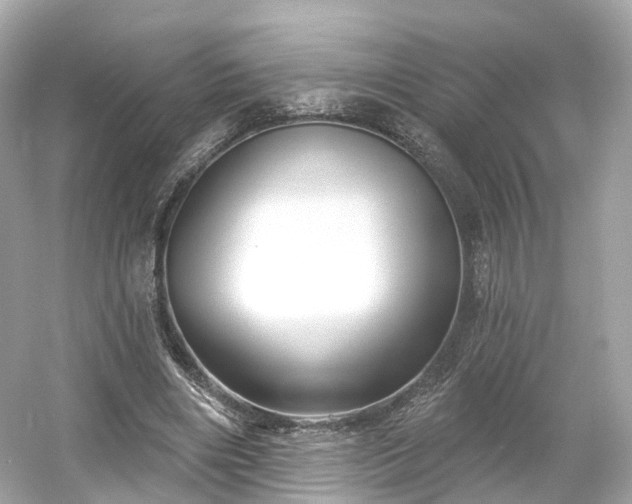 X0000054360490200508051533