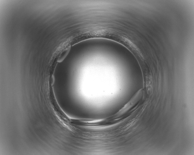 X0000054360493200508051533