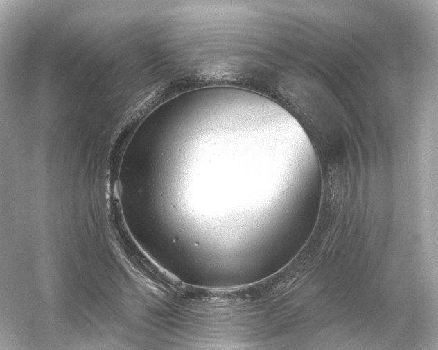 X0000054360494200508051533