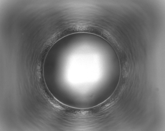 X0000054360497200508051533