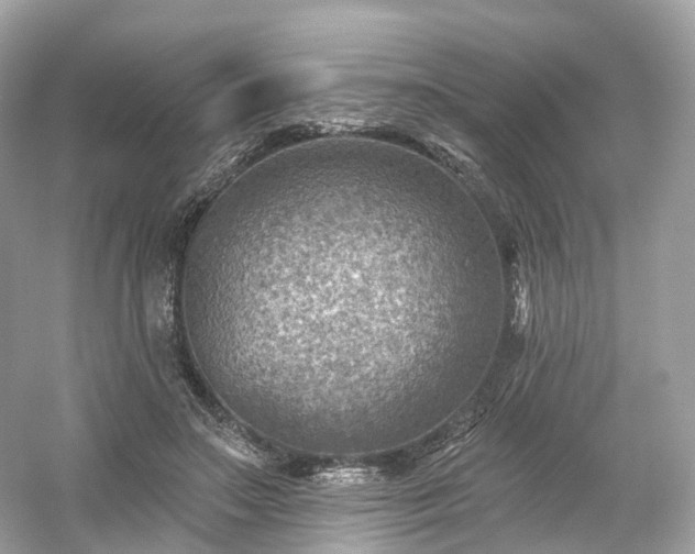 X0000054360499200508051533