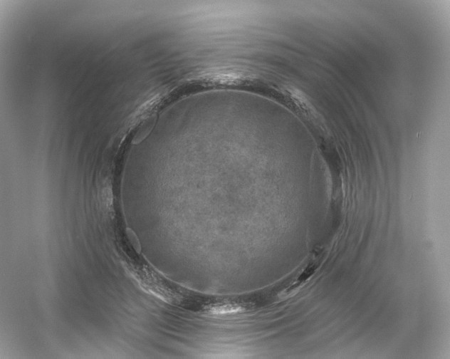 X0000054360500200508051533