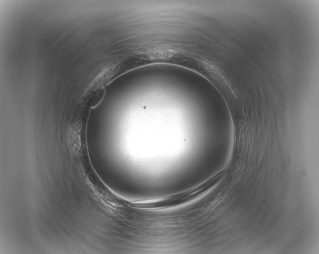 X0000054360501200508051533