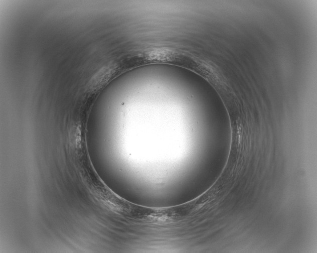 X0000054360502200508051533