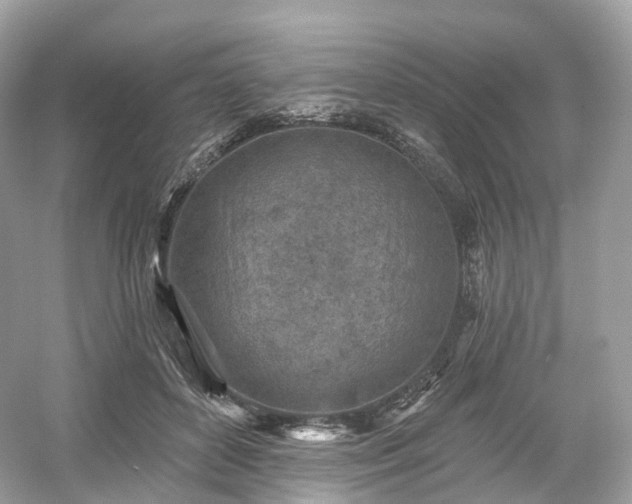 X0000054360504200508051533