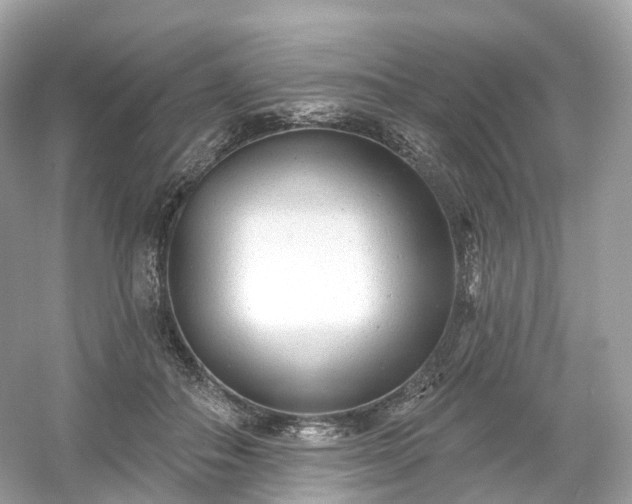 X0000054360506200508051533