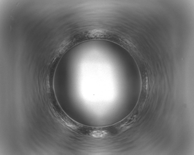 X0000054360508200508051532