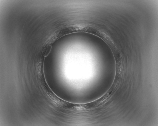 X0000054360509200508051532