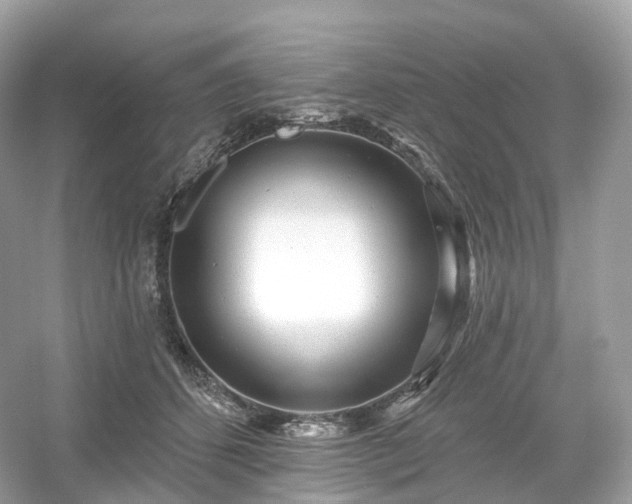 X0000054360512200508051532