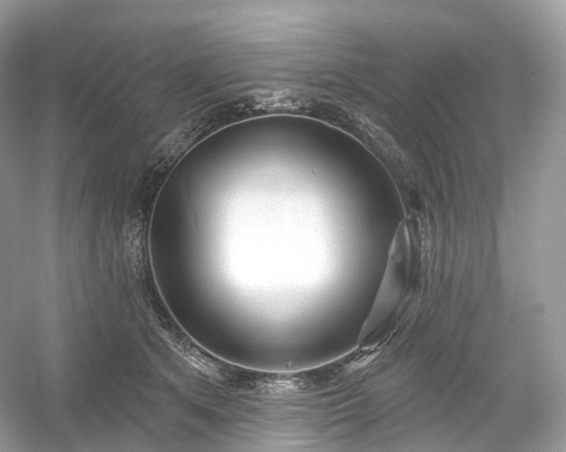 X0000054360513200508051532