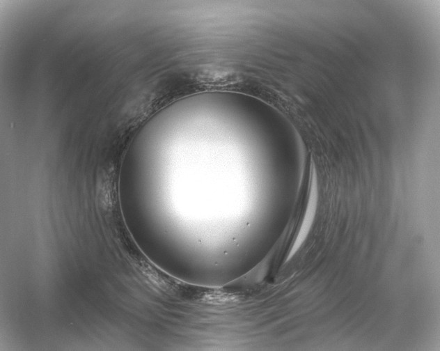 X0000054360515200508051532