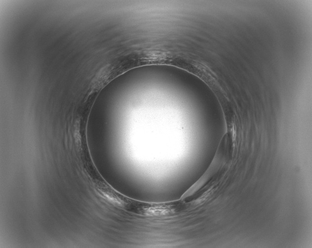 X0000054360516200508051532