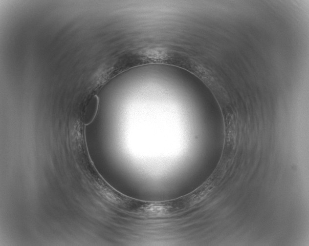 X0000054360518200508051532