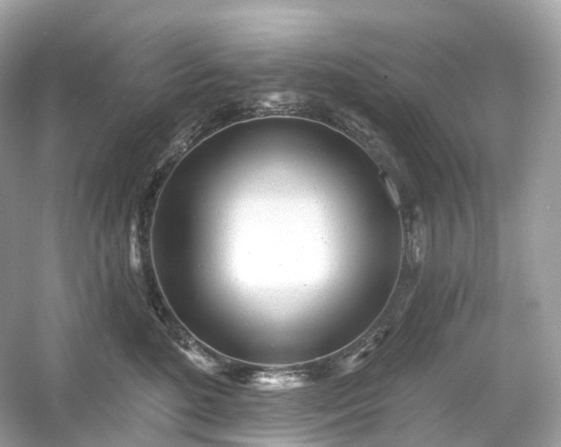 X0000054360520200508051532
