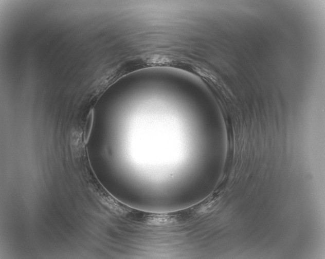 X0000054360521200508051532