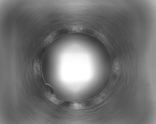 X0000054360522200508051532