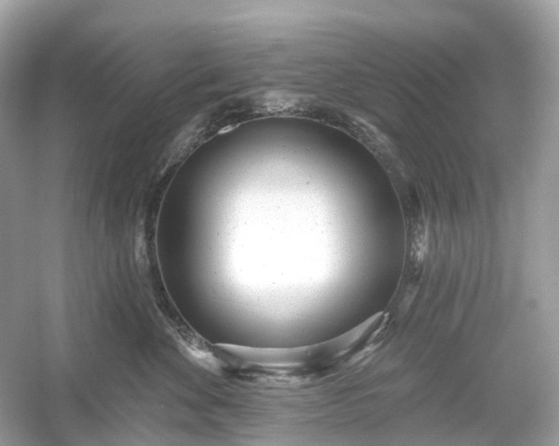 X0000054360524200508051532