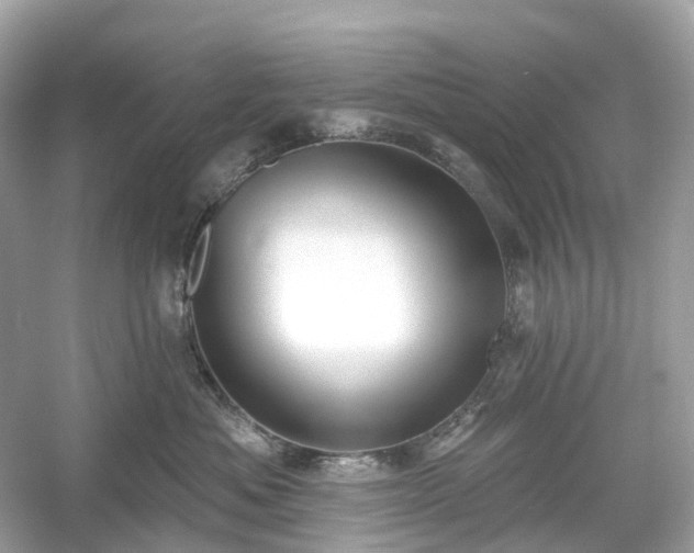 X0000054360525200508051532