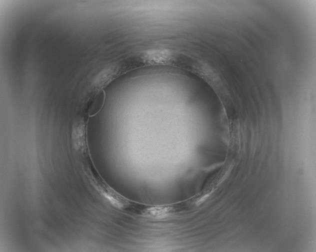 X0000054360526200508051532