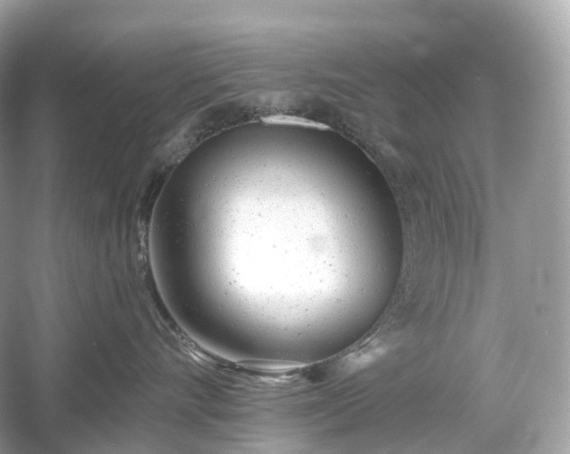 X0000054360528200508051532
