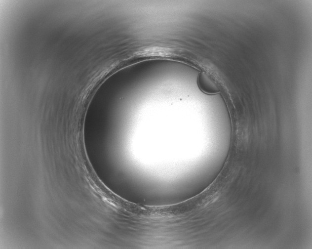 X0000054360529200508051531