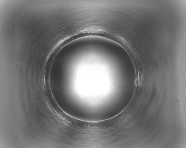 X0000054360531200508051531