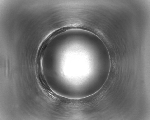 X0000054360532200508051531