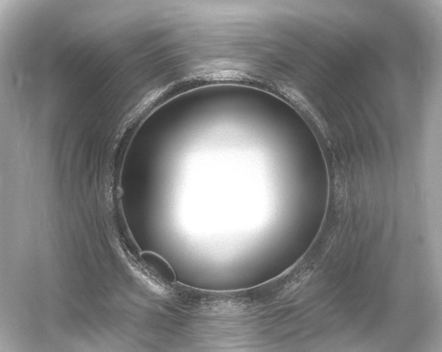 X0000054360533200508051531