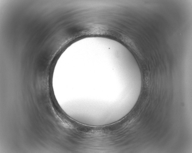 X0000054360534200508051531