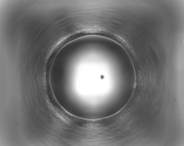 X0000054360535200508051531