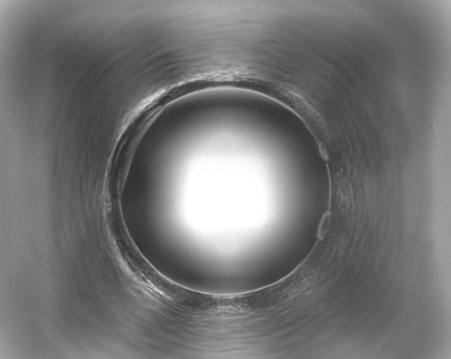 X0000054360536200508051531