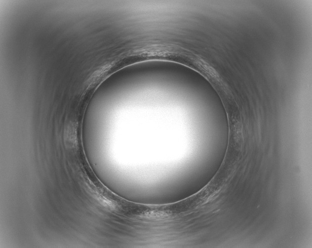 X0000054360537200508051531